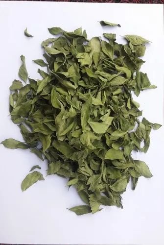 curry-leaves-18 (1)-2567681-46137.jpg